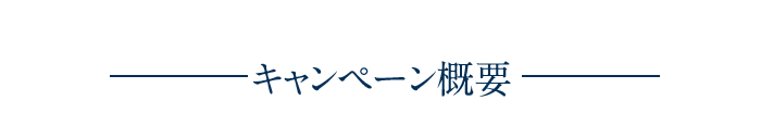 キャンペーン概要