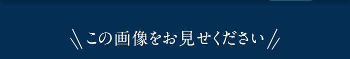 この画像をお見せください