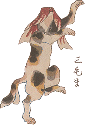 20181111_04 歌川国芳 ねこ