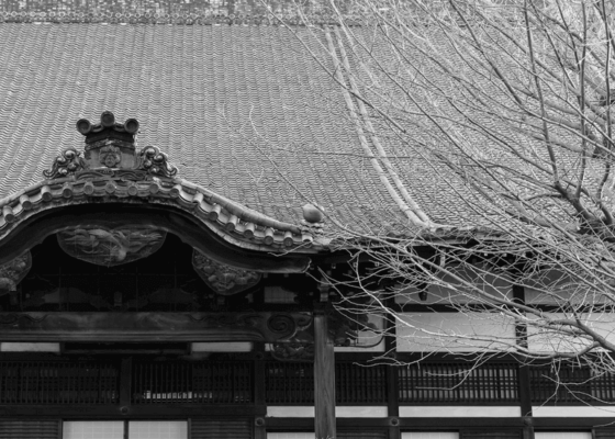 【コラム】大徳寺と茶道