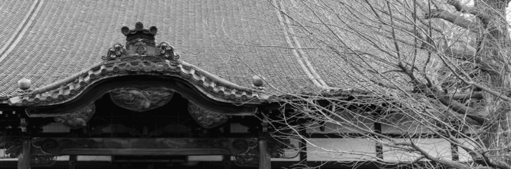 【コラム】大徳寺と茶道