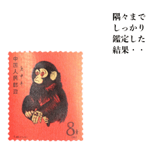 隅々までしっかり鑑定した結果