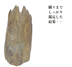 隅々までしっかり鑑定した結果