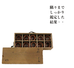 隅々までしっかり鑑定した結果